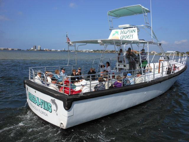Dolphin cruise on the Chase-N-Fins